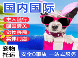 乌兰浩特机场物流国际宠物托运 【国
